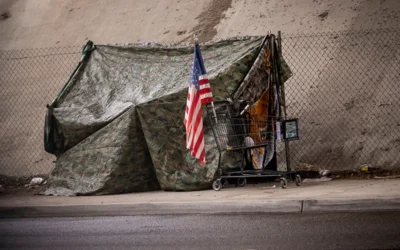 A new push to put homeless veterans under legal guardianship